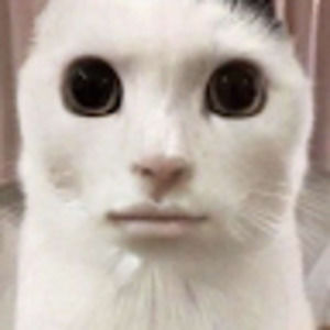 Meet your Posher, Richie